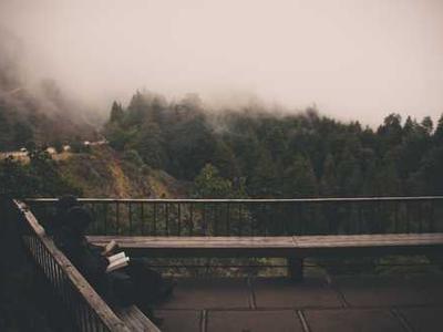 
        Falling wine sales reflect a lonelier and more atomised world
      