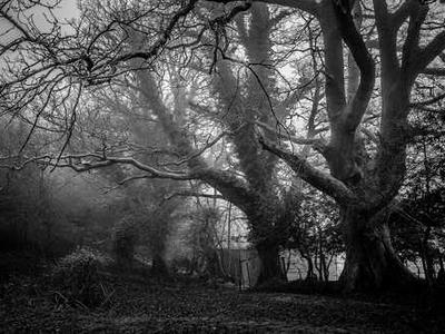 Meet Gemini the Twins, home to Jupiter and 2 bright stars