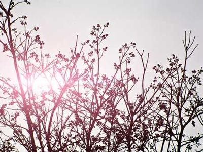 John Cage’s Silent, Avant-Garde Piece 4′33″ Gets Covered by a Death Metal Band