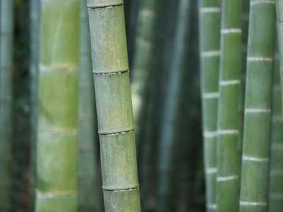 Too many satellites? Is Earth’s orbit headed for catastrophe?