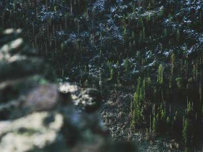 NASA says it failed Starliner astronauts, blasts Boeing