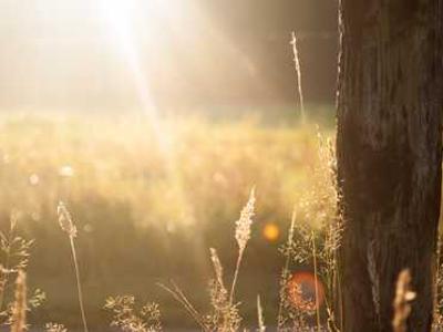 Watch 434 Avant-Garde and Surreal Short Films Online: Salvador Dalí, Marcel Duchamp, Luis Buñuel and Many More