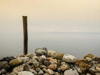 
        Forget EVs. Cycling is revolutionising transport 
      