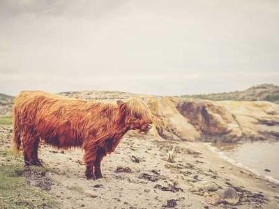 
        The War Room newsletter: Did a Russian weapon spook Trump?
      