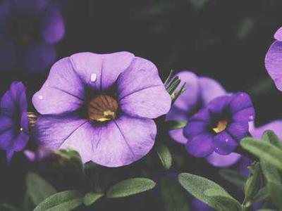 Sun news: The sun enters a quiet interval