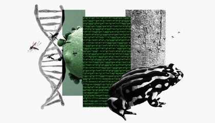 Three Stunning Ways Biologists Aim to Edit Animal and Plant Genes to Fight Diseases and Extinction
