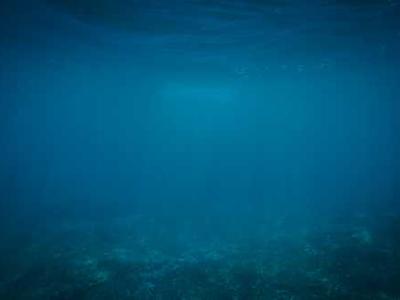 
        Young people are having less fun
      