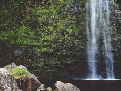 Weekle: a quiz about 30th March – 5th April