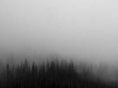 
        Australia prepares for a lonelier, harsher world
      