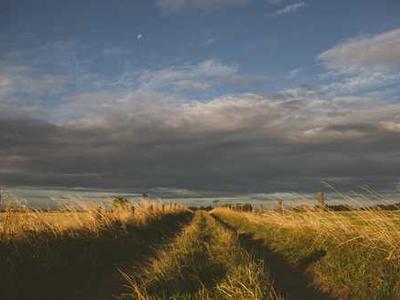 Social Media Is Getting Smaller—and More Treacherous