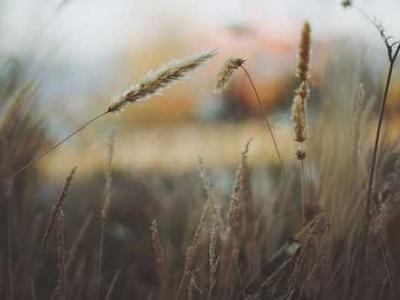 Weekle: a quiz about 30th March – 5th April