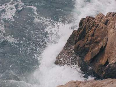 
        The global backlash against climate policies has begun
      